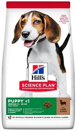 Sausā suņu barība Hill's Science Plan Puppy Medium, rīsi, 18 kg
