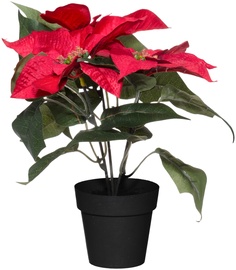 Dirbtinis augalas vazone, puansetija Winteria, raudona, 30 cm