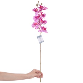 Kunstlill, orhidee AmeliaHome Faleni PLum, roheline/violetne, 760 mm