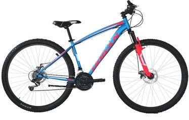 Velosipēds kalnu Henry Hogan, 29 ", zila