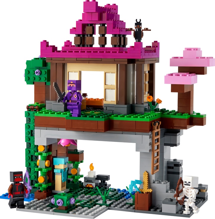 Konstruktors LEGO® Minecraft® Treniņlaukums 21183, 534 gab.