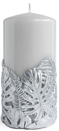 Svece cilindriskas Mondex Monstera New, 200 x 80 mm