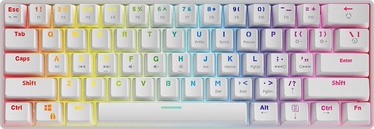 Klaviatūra Savio Mechanical Keyboard Whiteout Brown Outemu Brown Angļu (US), melna