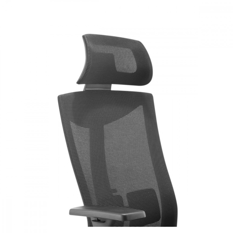 Kontoritool Maclean Ergo Officer ER-414, 49 x 48 x 119.5 - 129.5 cm, must