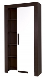 Riidekapp Cezar REG4, pruun/valge, 42 cm x 100 cm x 200 cm