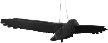 Dekorācija "Putns" Besk Crow 4750959113103, 80 cm x 46 cm x 11 cm, melna