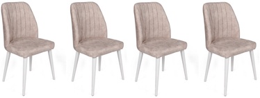 Ēdamistabas krēsls Kalune Design Alfa 495 V4 974NMB1571, matēts, balta/krēmkrāsa, 49 cm x 50 cm x 90 cm, 4 gab.