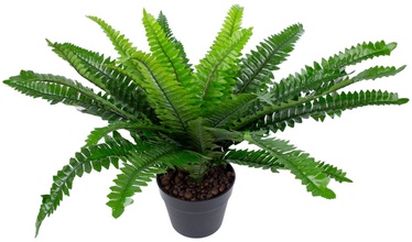 Искусственное растение в горшке Home4you Boston Fern, черный/зеленый, 600 мм