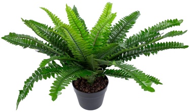 Искусственное растение в горшке Home4you Boston Fern, черный/зеленый, 60 см