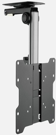 Полка Stell Accessories SHO 3950, 17-37″, 20 кг