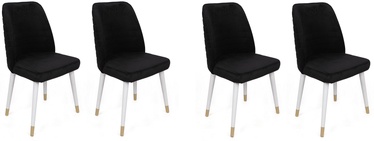 Ēdamistabas krēsls Kalune Design Hugo 406 V4 974NMB1602, spīdīga, zelta/balta/melna, 49 cm x 50 cm x 90 cm, 4 gab.