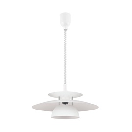 Lampa karināms Eglo Brenda, 60 W, E27