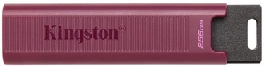 USB atmintinė Kingston Traveler MAX A, violetinė, 256 GB