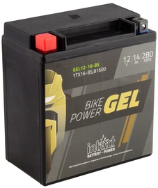 Akumulators IntAct IG YTX16-BS, 12 V, 14 Ah, 280 A