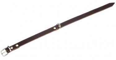 Ошейник для собак Karlie Rondo, темно коричневый, 620 мм x 40 мм, 62 x 4 см