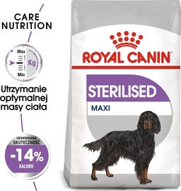 Sausā suņu barība Royal Canin Sterilised Maxi, 12 kg