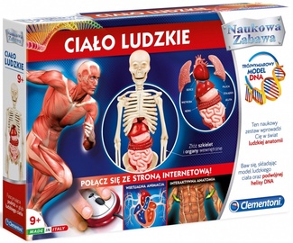 Žmogaus kūnas Clementoni Science Fun Human Body, mėlyna/balta/raudona