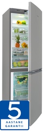 Холодильник Snaigė RF56SG-P5CBNF0D91Z1C5SN1X, морозильник снизу