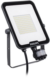 Prožektors Philips Ledinaire Floodlights Gen3 BVP164, 50 W, 5500 lm, 3000 °K, IP65, pelēka