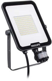 Prožektors Philips Ledinaire Floodlights BVP164, 50 W, 5500 lm, 3000 °K, IP65, pelēka