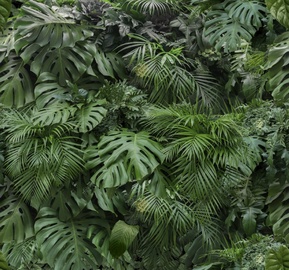 Fototapete Art For The Home Rainforest 119594, 2800 mm x 3000 mm