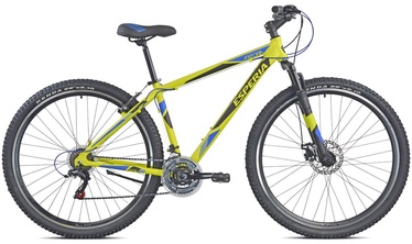 Velosipēds kalnu Esperia, 29 ", 20" rāmis, zila/melna/dzeltena