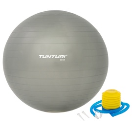 Гимнастический мяч Tunturi Gymball 14TUSFU277, серебристый, 550 мм