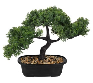 Kunsttaim potis, bonsad Splendid Bonsai, roheline, 24 cm