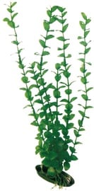 Декорация Croci Rotala MD A8011247