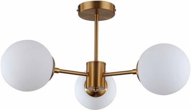 Светильник Light Prestige Roma 3, E14, 40 Вт (поврежденная упаковка)
