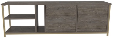 TV-laud Kalune Design Primrose, kuldne/tumehall, 35.3 cm x 160 cm x 50.8 cm