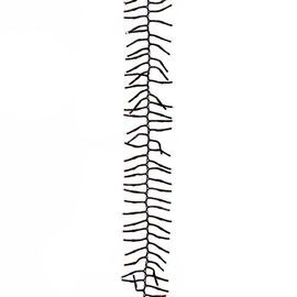 Elektriline pärg CLUSTER, 10 m, 1128 LED, värviline