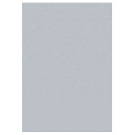 Ковер комнатные Ayyildiz Sky SKY2002905400SILVER, серебристый, 290 см x 200 см