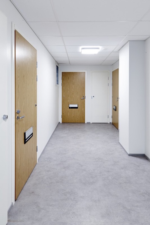 Uks Swedoor EI30/RW38DB, vasakpoolne, tamm, 209 x 89 x 4 cm
