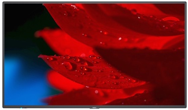 Monitors NEC MA551, 55", 8 ms