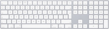 Клавиатура Apple Magic Keyboard EN, белый, беспроводная