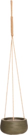 Puķu pods 4Living 612297, zaļa, stiprināms