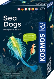Комплект для выращивания растений Kosmos Sea Dogs 1KS616779, многоцветный