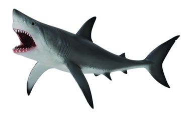 Rotaļlietu figūriņa Collecta Great White Shark 88729, 19 cm