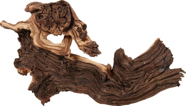Dekoratsioon Zolux Mopani Root Large 356014