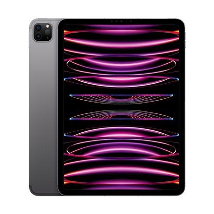 Tahvelarvuti Apple iPad Pro 11" Wi-Fi + Cellular 256GB - Space Gray 2022