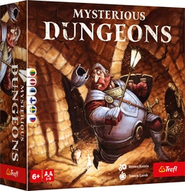 Настольная игра Trefl Mysterious Dungeons 02501T, LT LV EE