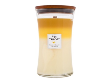 Свеча ароматическая WoodWick Fruits Of Summer, 120 час, 609.5 г