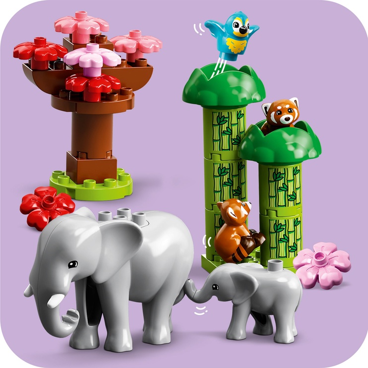 Конструктор LEGO® DUPLO® Дикие животные Азии 10974, 116 шт.