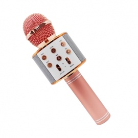 Детский микрофон Riff Fun Effect Microphone WS-858