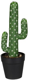 Искусственное растение в горшке, кактус Splendid Cactus, черный/зеленый, 26 см
