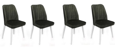 Valgomojo kėdė Kalune Design Alfa 492 V4 974NMB1568, matinė, balta/samanų, 49 cm x 50 cm x 90 cm, 4 vnt.