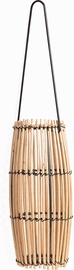 Putnu barotava Singingfriend Nyah 48594, 21 cm x 10 cm