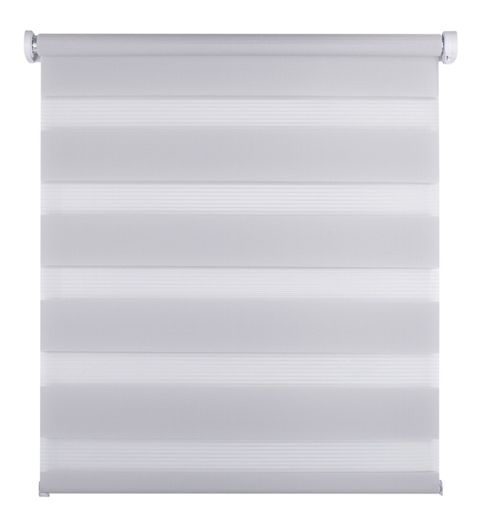 Veltņu aizkari Domoletti MINI S08 D&N, pelēka, 810 mm x 1500 mm