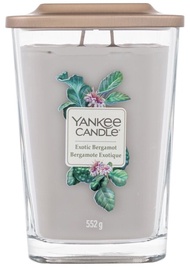 Žvakė, aromatinė Yankee Candle Elevation Exotic Bergamot, 65 - 75 h, 552 g